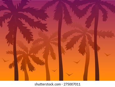 Palm trees at sunset.