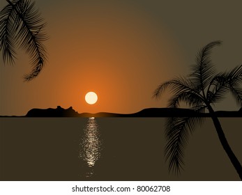 Palm trees in the sunset