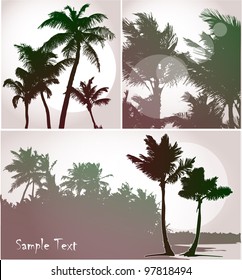 Palm trees in sunset light, vector silhouettes collection