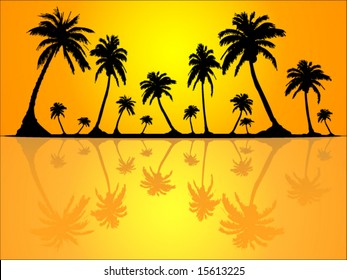 Palm Trees in the Sunshine