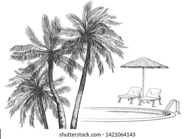 
Palm trees, swimming pool, beach umbrella  and two loungers. Vector vintage illustration of summer holiday.