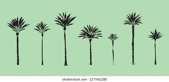 Palm trees. Textured ink brush drawing