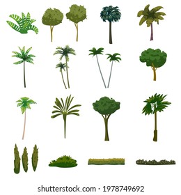 Palm trees tropical exotic plants set. Collection botanical flora jungle tropic nature. Vector cartoon flat style illustration