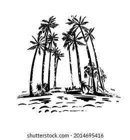 Palm trees and tropical plants. Beach, vacation in exotic countries. Handmade, vector illustration.