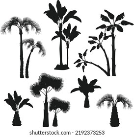 Palm trees tropical plants collection- garden brazil California Vector Silhouettes