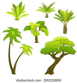 Palm trees and tropical plants vegetation icons set. Vector illustration isolated on white background.