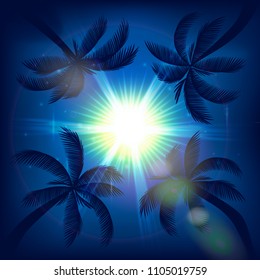 Palm trees and tropical sun in sky.
