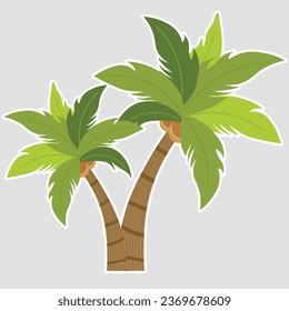 Palm trees. Tropical tree green leaves, beach palms and retro california greenery. Miami trees, Beach tree, coconut palm or exotic hawaii forest green tree. Isolated vector.