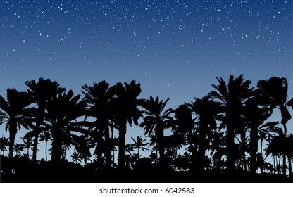 Palm Trees Under Stars
