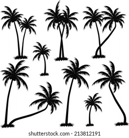 Set Tropical Palm Trees Leaves Mature Stock Vector (Royalty Free ...