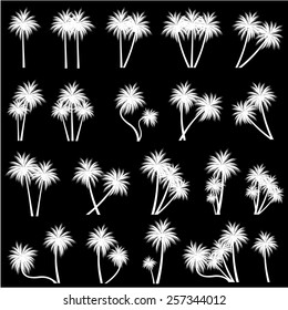 palm trees vector 