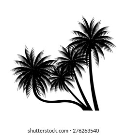 palm trees vector
