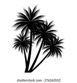 palm trees vector