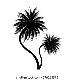 palm trees vector