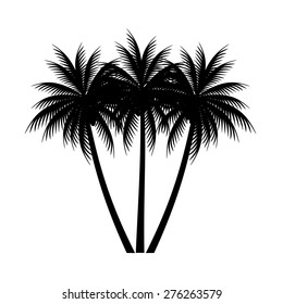palm trees vector