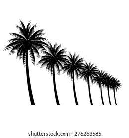 palm trees vector