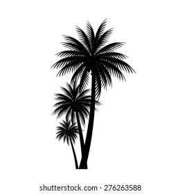 palm trees vector