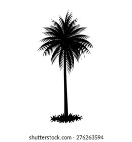 palm trees vector