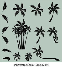 palm trees vector