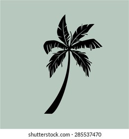 palm trees vector