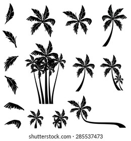 palm trees vector