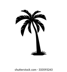 palm trees vector 