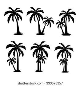 palm trees vector 