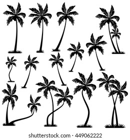 palm trees vector