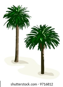 Palm Trees vector is highly detailed hand drawn original artwork in AI-EPS8 format.
