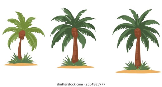 Palm trees. Vector illustration of beautiful green palm trees. Isolated on white background. Tropical coconut trees.