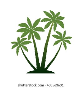 Palm trees. Vector illustration on white background