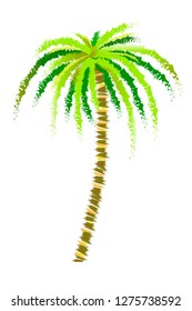 Palm trees.  Vector illustrations isolated on a white background