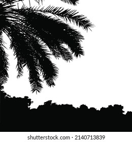 Palm trees vector silhouette. Coconut palm tree with coconuts vector. Beach vector trees. EPS 10