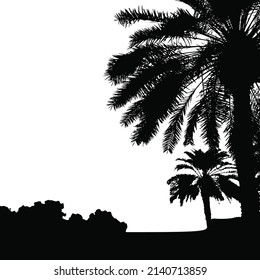 Palm trees vector silhouette. Coconut palm tree with coconuts vector. Beach vector trees. EPS 10