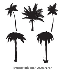 palm trees, vector, t-shirt design, hand drawing, unique, vintage, grunge, apparel,  trendy, print