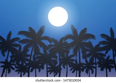 Palm trees views on the night with moonlight illustration.
