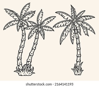 Palm trees vintage colorful element set of three cocoa palms from azure islands and exotic resorts botanical nature vector illustration