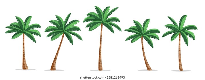 Palm tress drawing clipart set. Coconut and palm trees clip art icon with green tropical leaves collection vector illustration. 