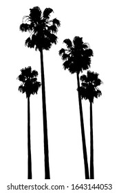 Palm tropic silhouettes set isolated. Basis design on white background