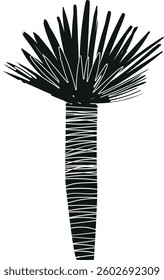 Palm tropical jungle tree vector illustration