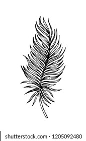 Palm tropical leaf hand drawn sketch. Exotic forest tree icon. Realistic vector illustration isolated on white background. Black ink line handdrawn art. For temporary tattoo, t shirt print