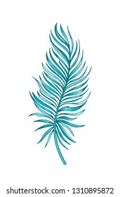 Palm tropical leaf hand drawn sketch. Exotic forest tree icon. Realistic vector illustration isolated on white background. Black ink line handdrawn art. Green watercolor line handdrawn art for t-shirt