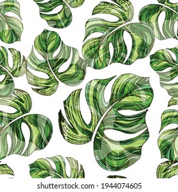 Palm. Tropical leaves of fragrant palm trees plants. Seamless vector pattern. Season spring summer