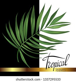 Palm tropical leaves. Summer sale, discounts, certificate, advertising, label, greeting card, handwritten text