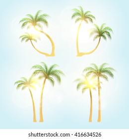 Palm Tropical  set  realistic trees with patches of sunlight. 
