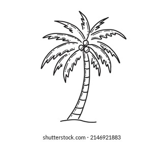 Ilustración dibujada a mano en el árbol tropical de la palma
