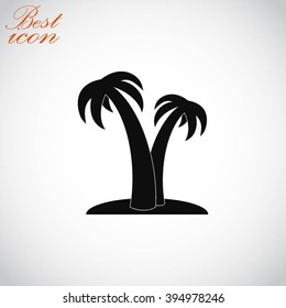palm tropical tree icon