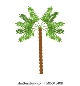 palm tropical tree isolated icon vector illustration design