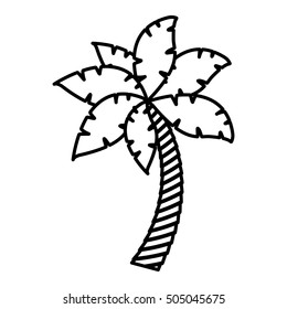 palm tropical tree isolated icon vector illustration design