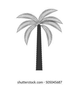 palm tropical tree isolated icon vector illustration design